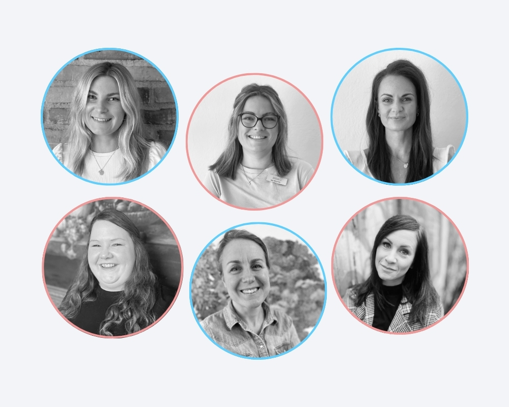 Hypocampus författare